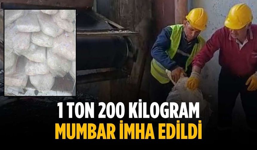 1 ton 200 kilogram mumbar imha edildi