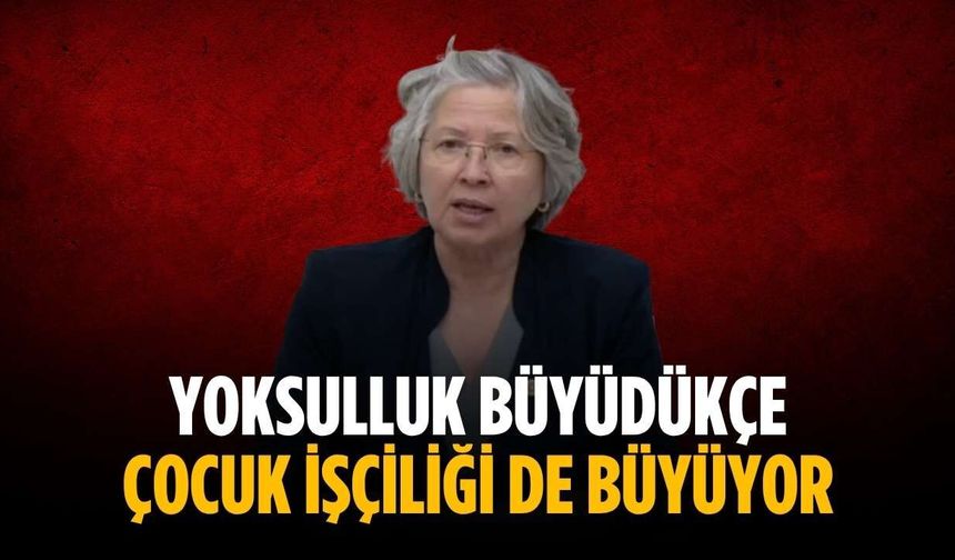 “Yoksulluk büyüdükçe çocuk işçiliği de büyüyor”