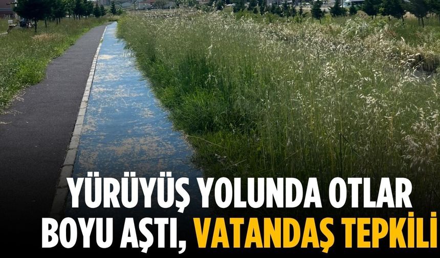 Yürüyüş yolunda otlar boyu aştı, vatandaş tepkili