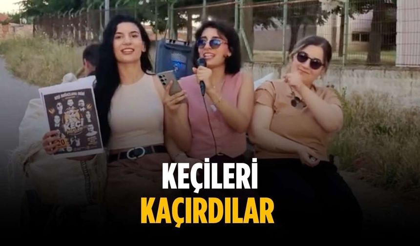 Keçileri kaçırdılar