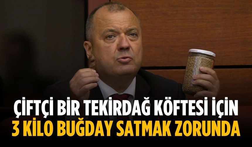 “Çiftçi bir Tekirdağ Köftesi için 3 kilo buğday satmak zorunda”