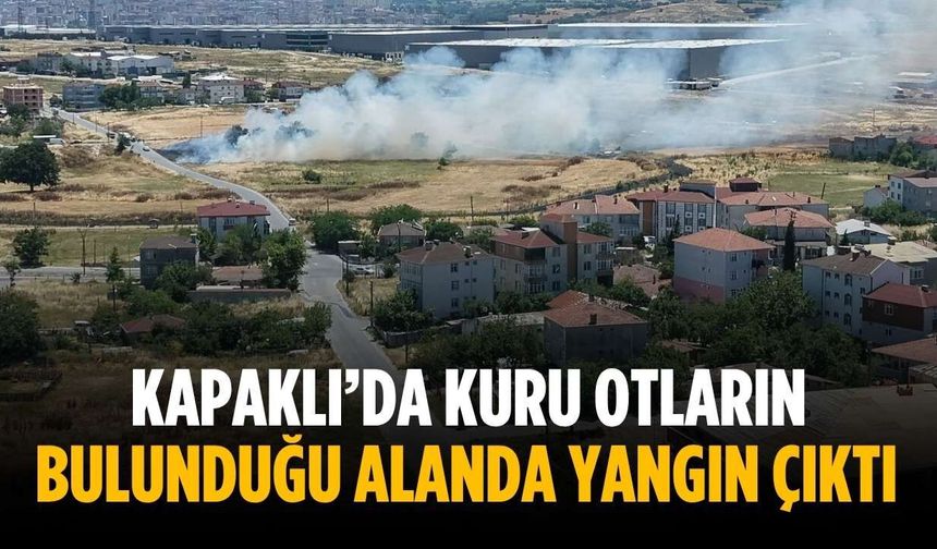Kapaklı’da kuru otların bulunduğu alanda yangın çıktı