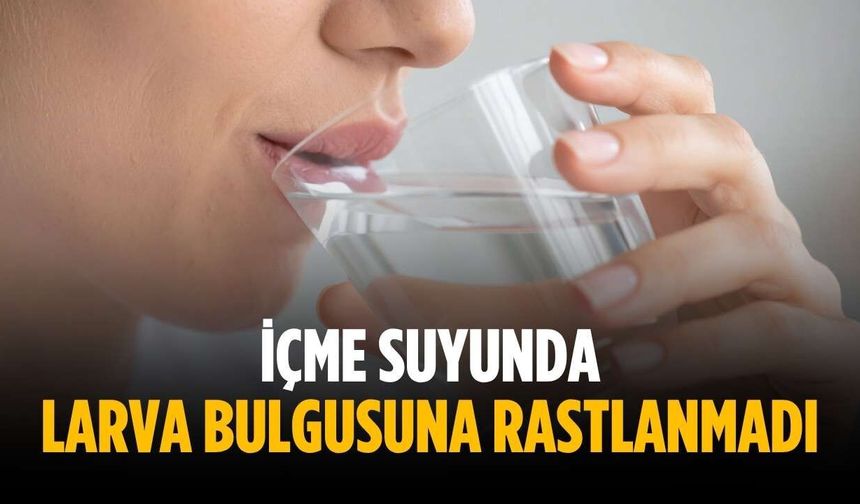 İçme suyunda larva bulgusuna rastlanmadı