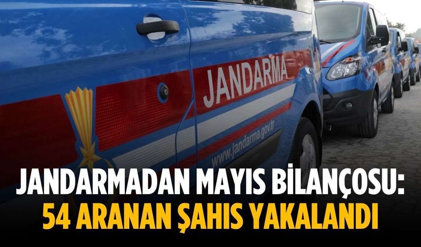 Jandarmadan mayıs bilançosu: 54 aranan şahıs yakalandı