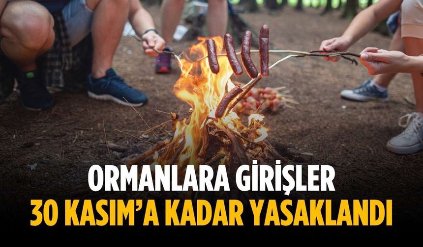Ormanlara girişler 30 Kasım’a kadar yasaklandı