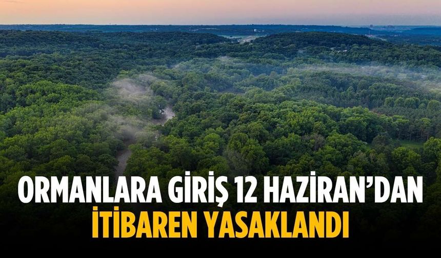 Ormanlara giriş 12 Haziran’dan itibaren yasaklandı