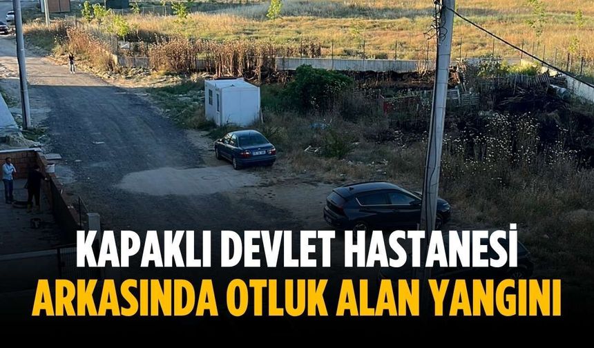 Kapaklı Devlet Hastanesi arkasında otluk alan yangını