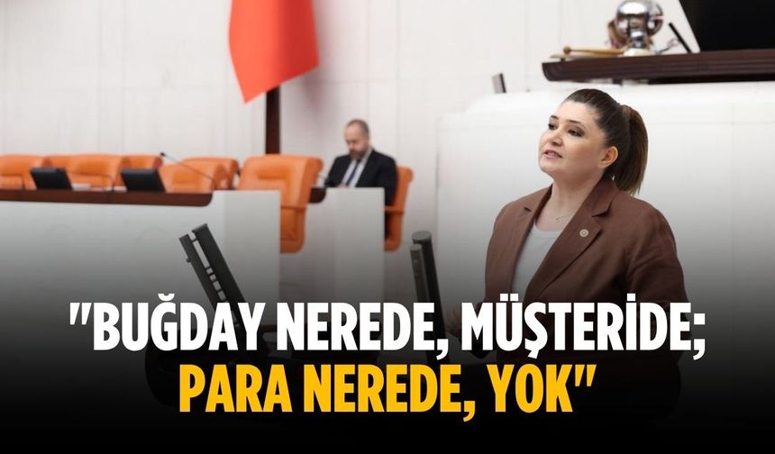 "Buğday nerede, müşteride; para nerede, yok"