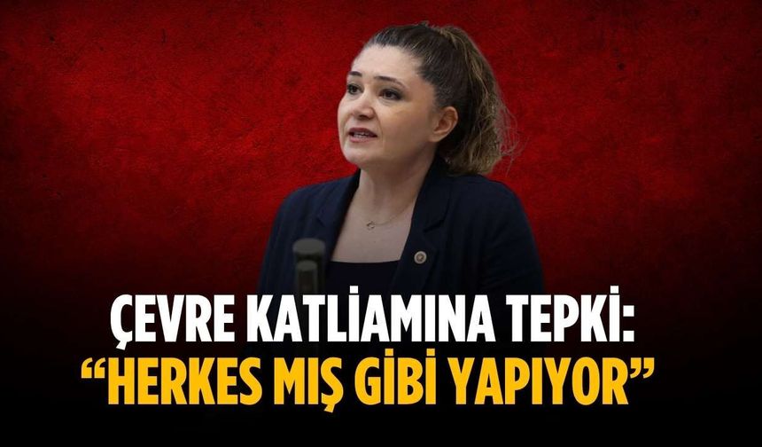 Çevre katliamına tepki: “Herkes mış gibi yapıyor”