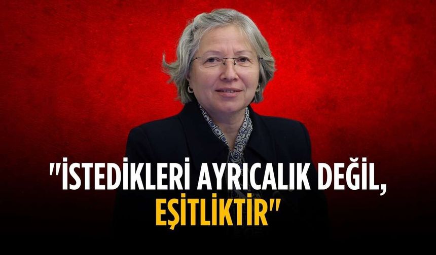 "İstedikleri ayrıcalık değil, eşitliktir"