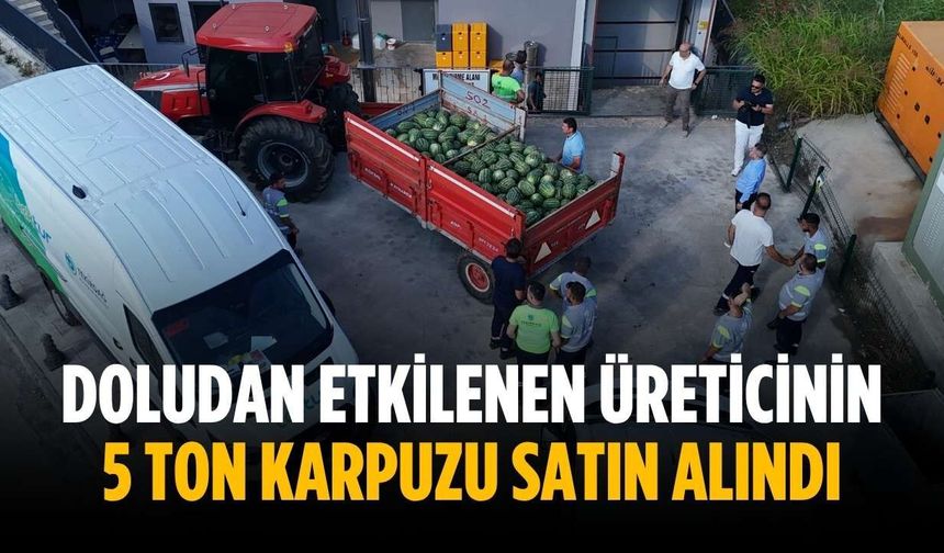 Doludan etkilenen üreticinin 5 ton karpuzu satın alındı
