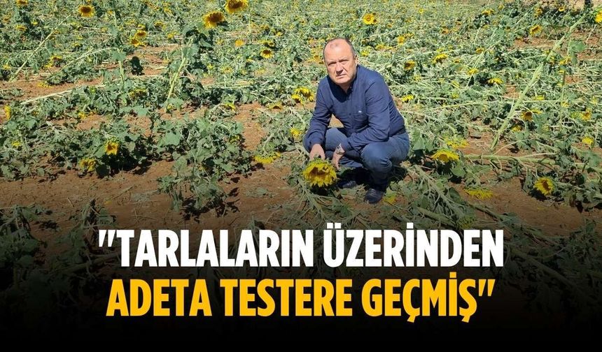 "Tarlaların üzerinden adeta testere geçmiş"