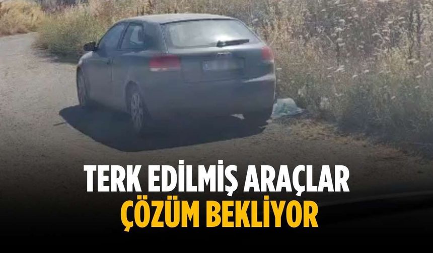 Terk edilmiş araçlar çözüm bekliyor