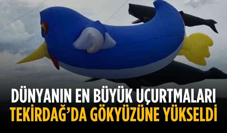 Dünyanın en büyük uçurtmaları Tekirdağ’da gökyüzüne yükseldi