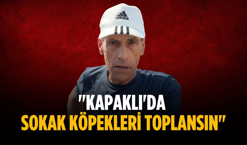 "Kapaklı'da sokak köpekleri toplansın"