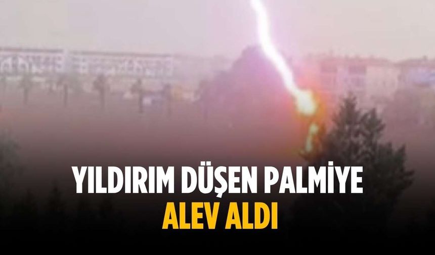 Kumbağ'da yıldırım palmiyeye isabet etti, O anlar kamerada