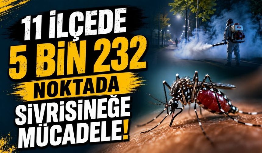 11 ilçede 5 bin 232 noktada sivrisineğe mücadele