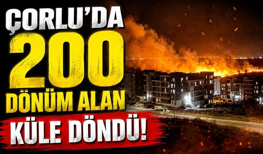 Çorlu'da 200 dönüm alan küle döndü