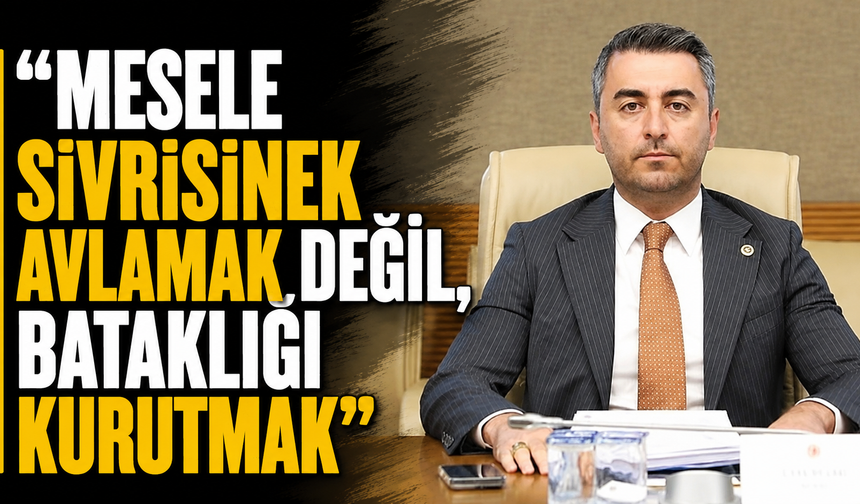 “Mesele sivrisinek avlamak değil, bataklığı kurutmak”