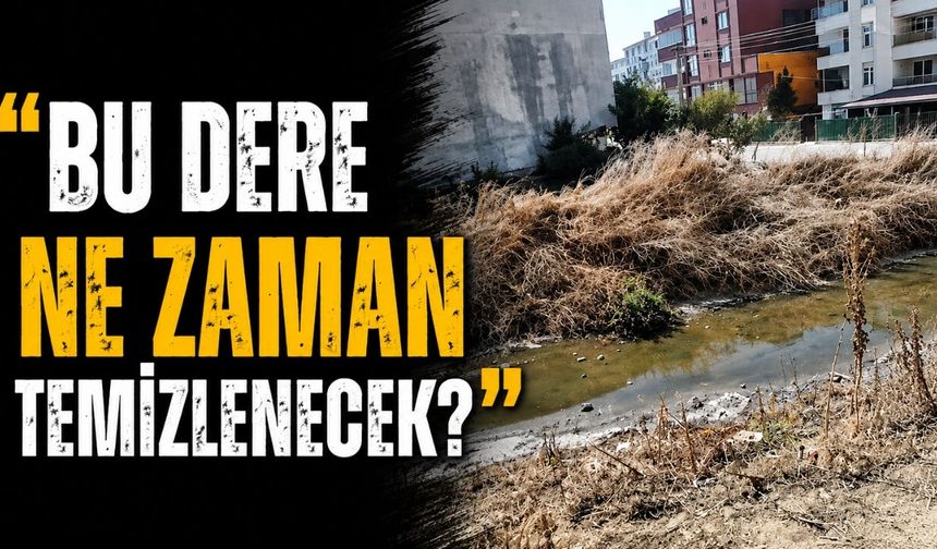 “Bu dere ne zaman temizlenecek?”