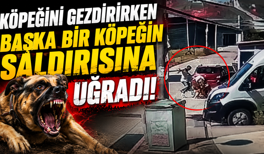 Köpeğini gezdirirken başka bir köpeğin saldırısına uğradı