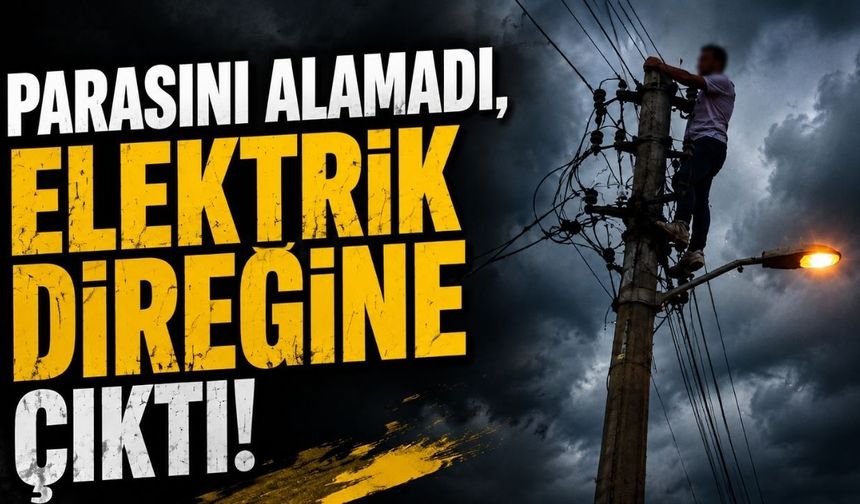 Parasını alamadı, elektrik direğine çıktı
