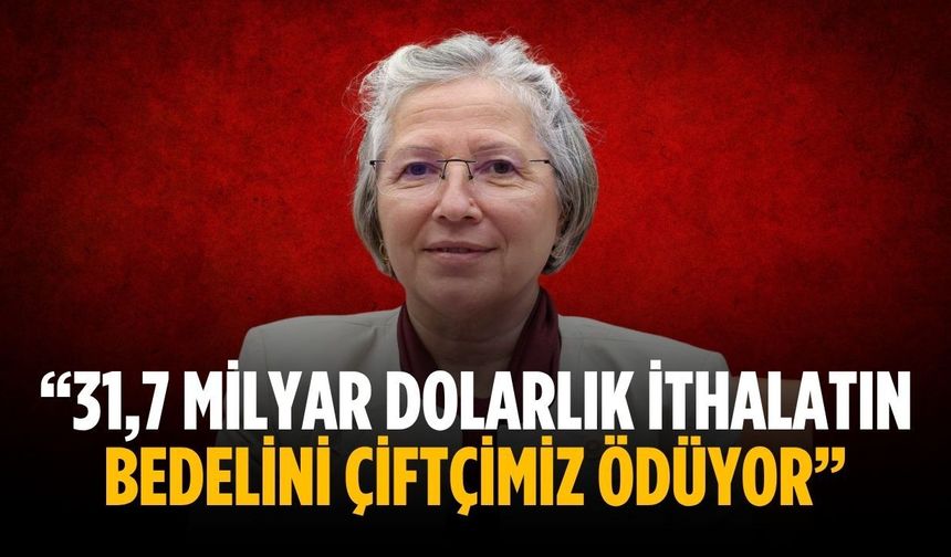“31,7 milyar dolarlık ithalatın bedelini çiftçimiz ödüyor”