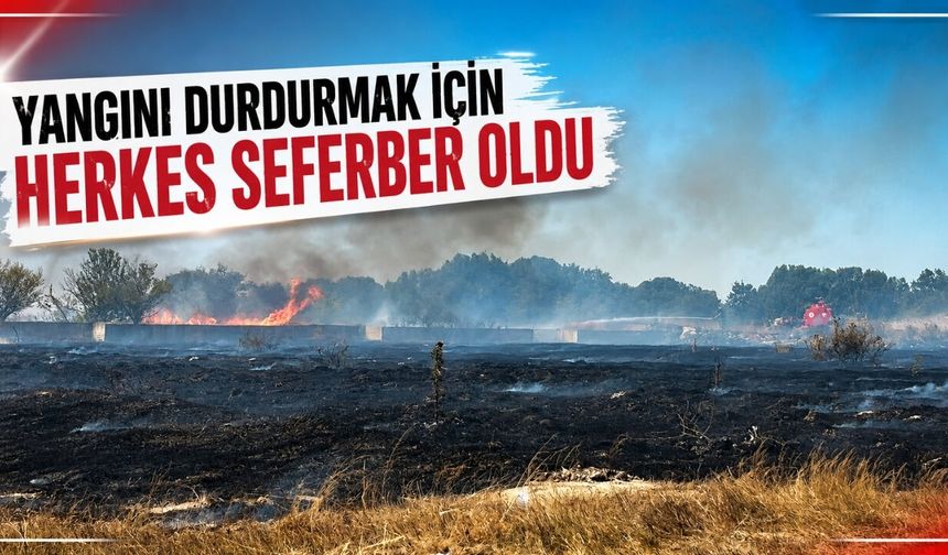 Yangını durdurmak için herkes seferber oldu