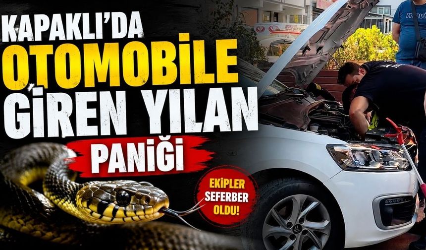 Kapaklı'da otomobile giren yılan paniği