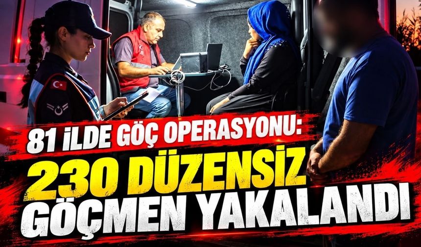 81 ilde göç operasyonu: 230 düzensiz göçmen yakalandı