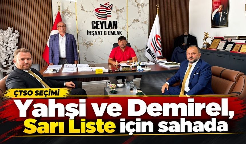 Yahşi ve Demirel, Sarı Liste için sahada