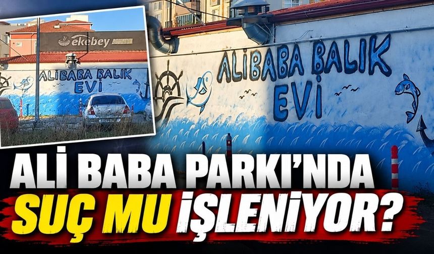 Kapaklı Belediyesi Ali Baba Parkı'nda suç mu işliyor?