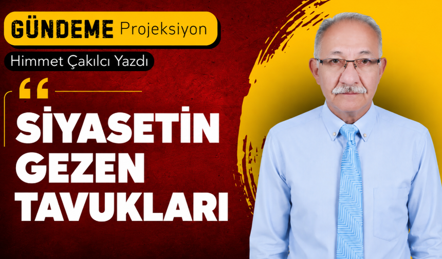 Siyasetin gezen tavukları