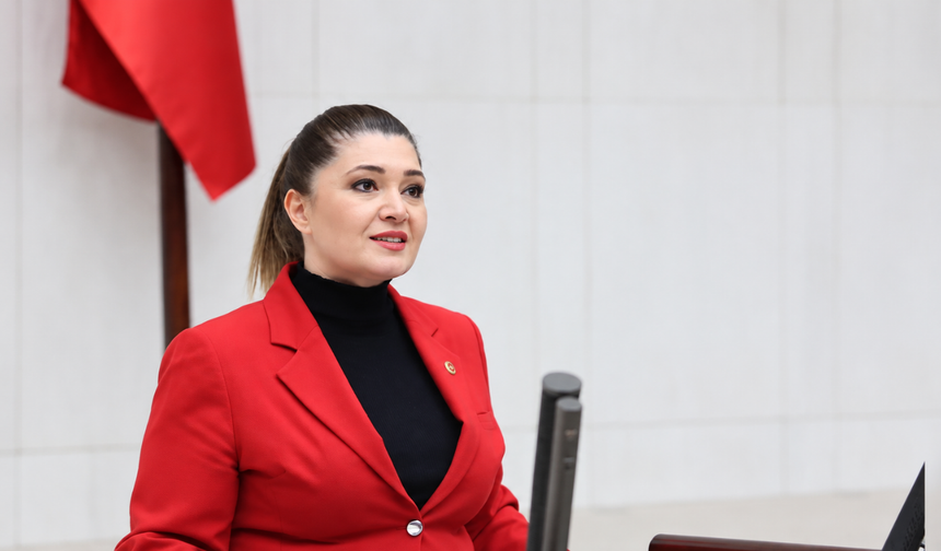 Taşçı: Toprak da tükenecek su da!