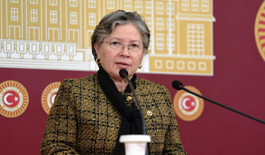 CHP'li Nurten Yontar: Trakya sahipsiz değildir
