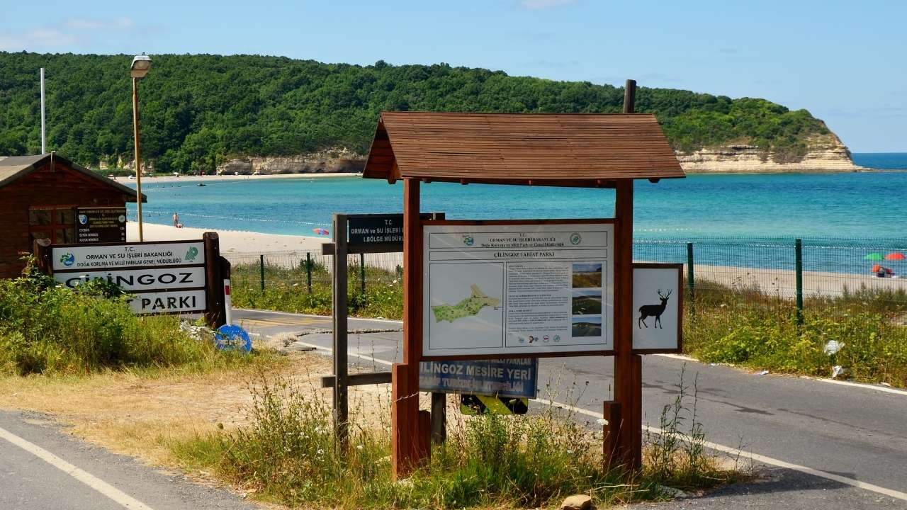 Tatil Kapakli 3
