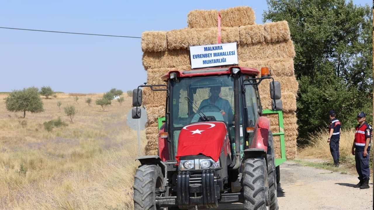 Balya Yardimi Sarkoy