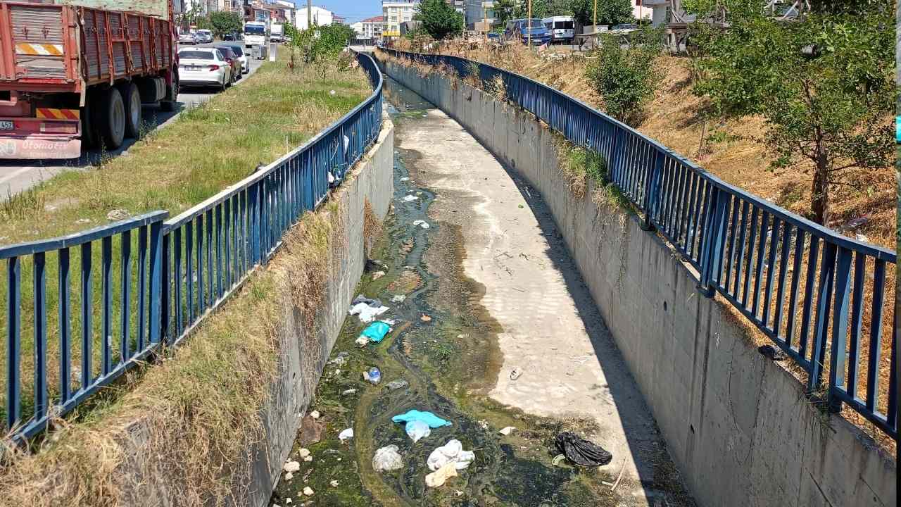 Kapakli Lagim Dere Koku 1