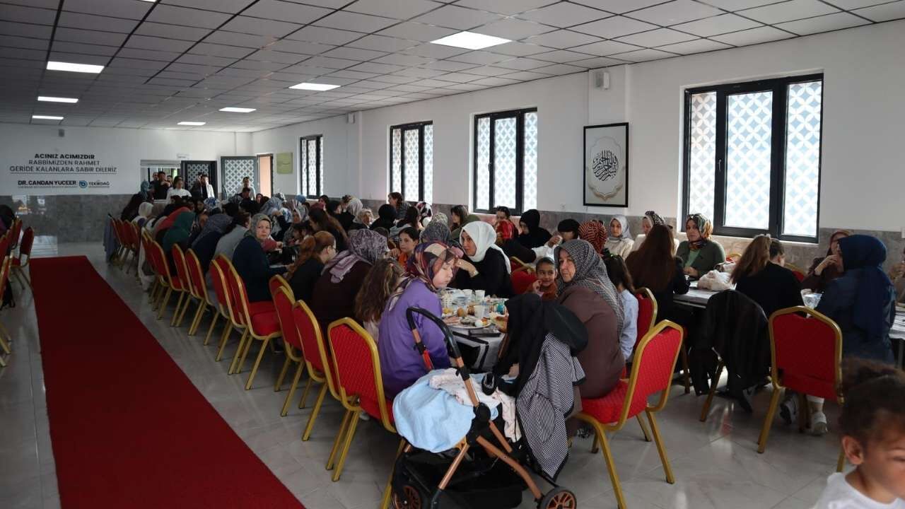 Sinop Anne 2