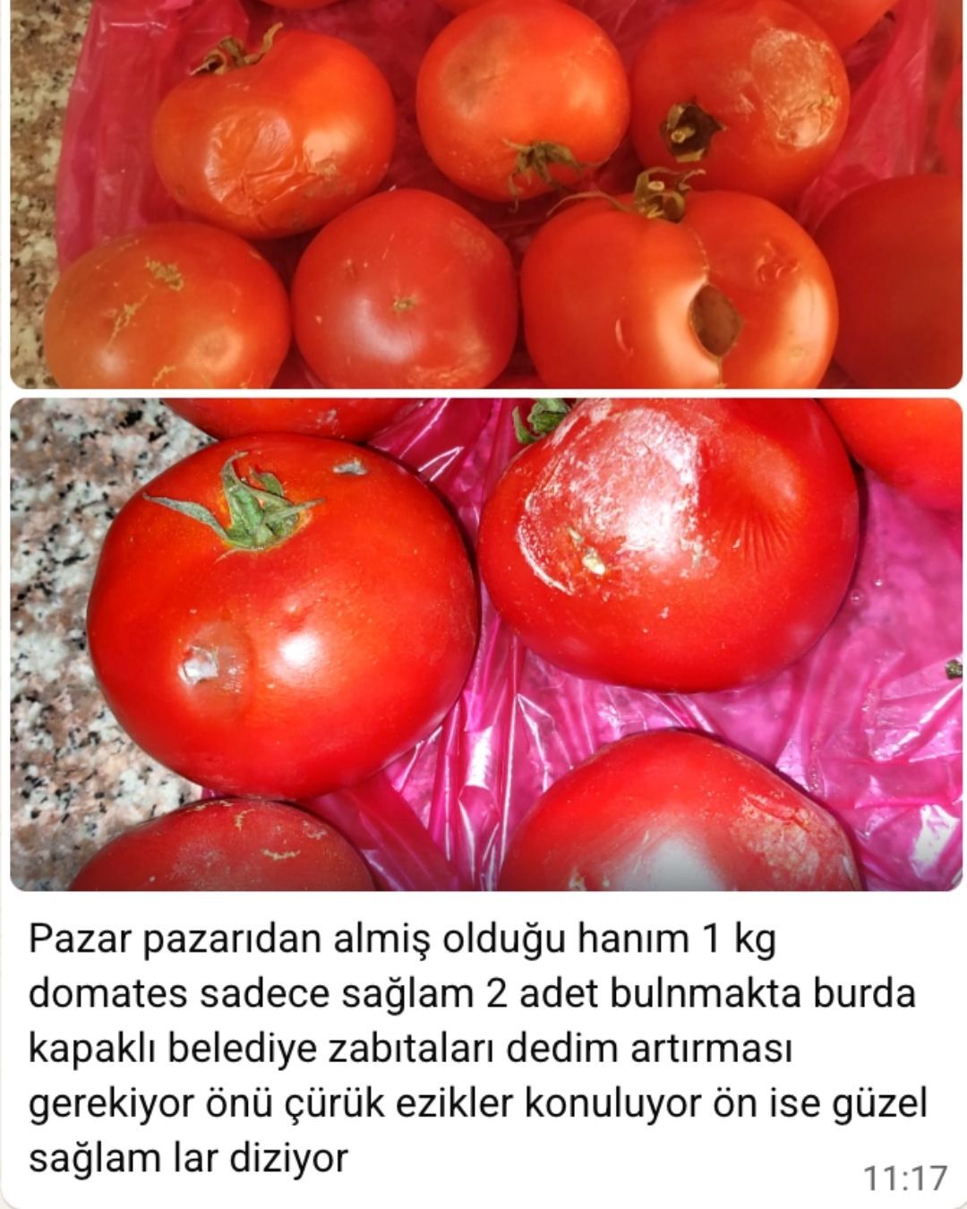 Curuk Domates