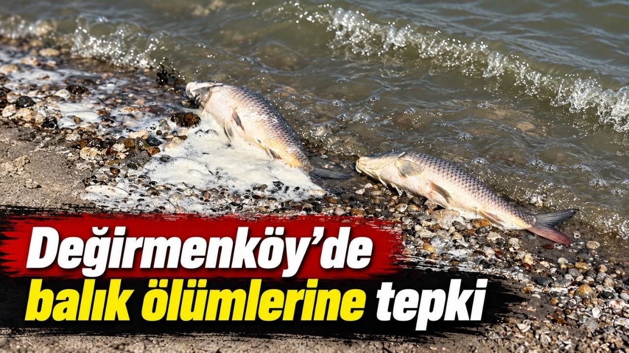 Silivri Değirmenköy’de göldeki balık ölümlerine tepki