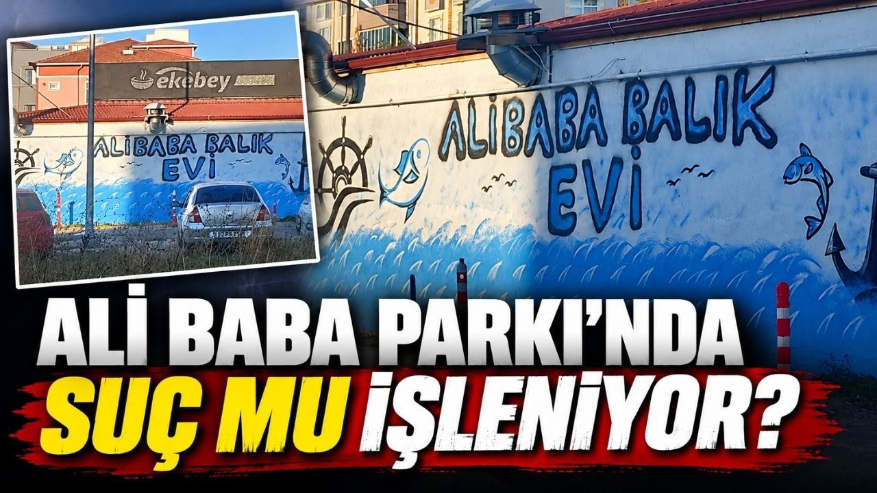 Kapaklı Belediyesi Ali Baba Parkı'nda suç mu işliyor?